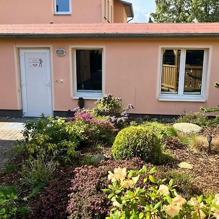 5 In The Anna * Heringsdorf (Usedom)